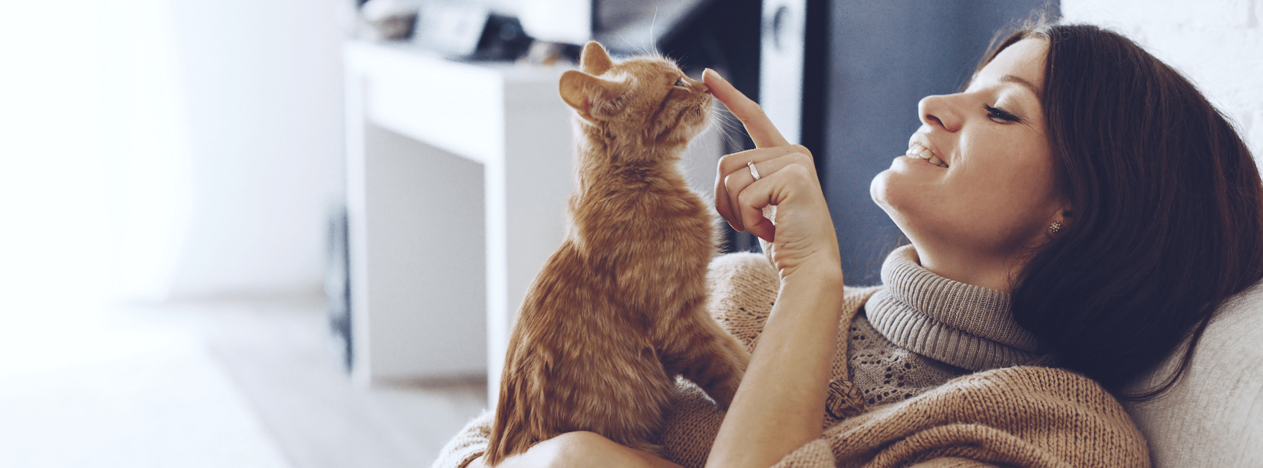 5 Benefits to Owning Cat | TLC Pet Food