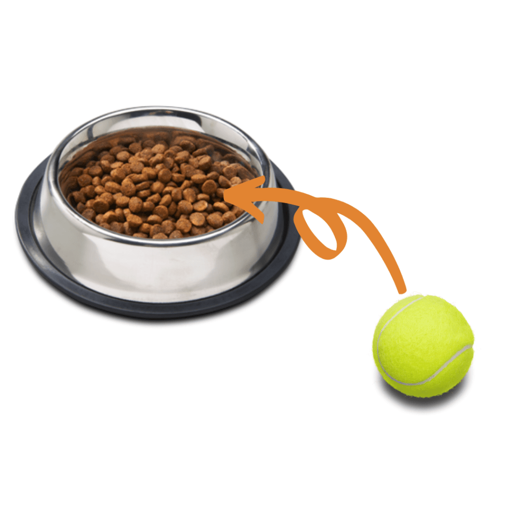 tennis ball in bowl of kibble