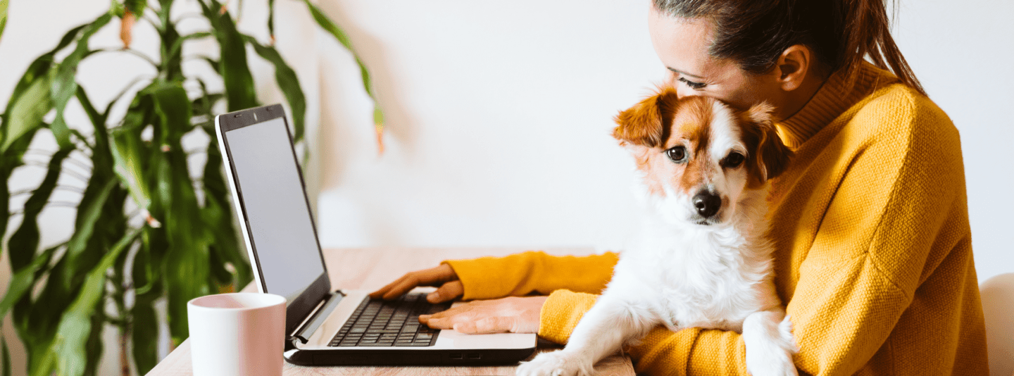 person using laptop and holding puppy