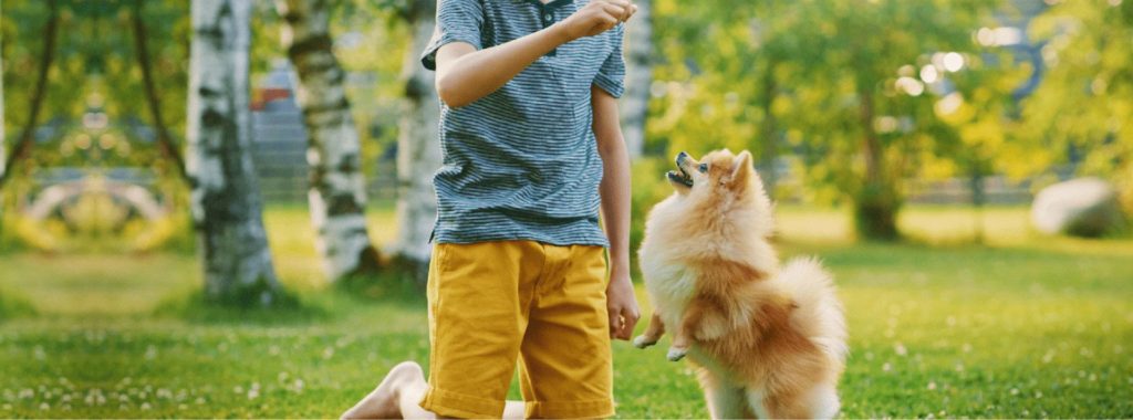 young boy with dog